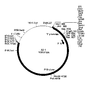 Une figure unique qui représente un dessin illustrant l'invention.